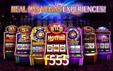 f555 Salvador - Studio Tour